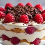 découvrez notre recette gourmande de tiramisu aux framboises et chocolat noir, un dessert élégant alliant douceur fruitée et richesse du cacao pour régaler vos papilles.